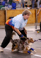 TGIFlyball