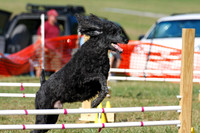 Zeus in Regular Agility 1