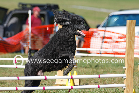 Zeus in Regular Agility 1