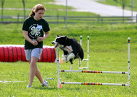 4-H Agility 5/9/09