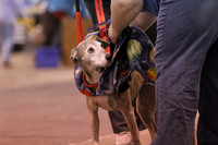 LIRR/Non stop