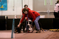 Release the Hounds/Hoot 'n Holler