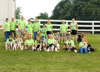 1. No Speed Limit Team & Whippets