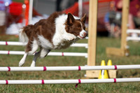 Agility